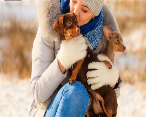 国内买卵子做试管,广东正规精子库(广州正规精子库)