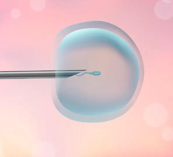 国内助孕的步骤,怀化正规生殖医院？怀化生殖医学院是私人医院吗？