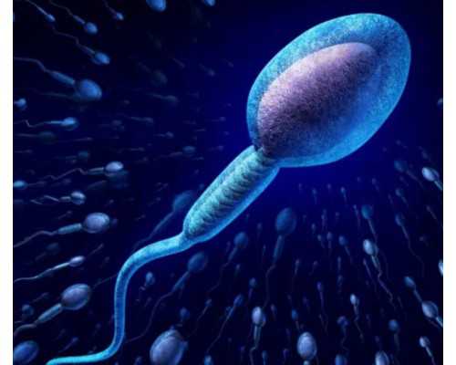 青岛私人代怀多少钱,宝宝几个月断奶最合适