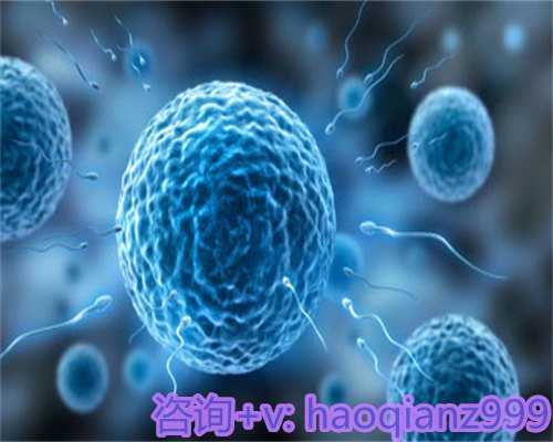 单身男找代生，试管婴儿移植后可不可以吃羊肉汤？移植后能不能吃羊肉汤补气血？