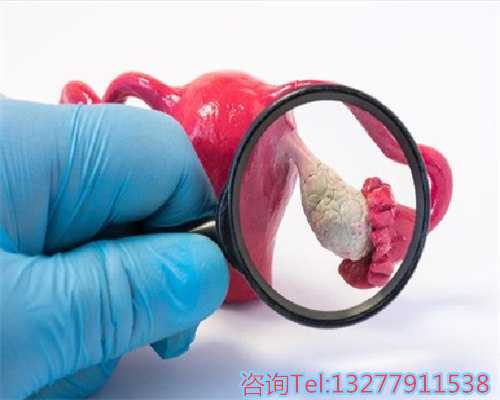 昆明供卵包成功多少钱,孕育美好未来的重要组成部分！