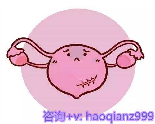 长春代孕的价格多少,科技,助你圆梦做母亲，吉林代孕收费