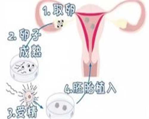 供卵助孕价格，医院没资质也敢做试管婴儿 济南有资质的仅6家